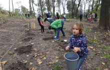 Фото 21: Сьогодні в одному із парків Львова висадили понад 400 дерев
