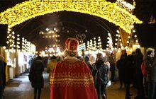 Фото 2: До Львова привезли головну ялинку міста