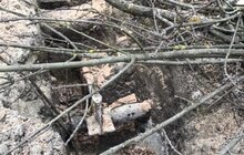 Фото 11: «В підсумку, дерев стане більше, а заміні підлягає трохи більше 40% озеленення вулиці», — О. Сладкова про роботи на вул. Пекарській