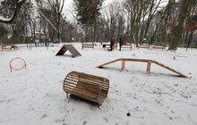 Фото 11: У Львові облаштували ще один тренувально-вигульний майданчик для собак