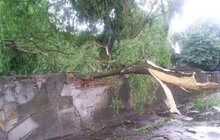 Фото 7: Наслідки негоди комунальні служби ліквідовують сьогодні, працюватимуть й завтра