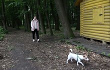 Фото 1: У парку ім. Івана Павла ІІ облаштують майданчик для вигулу собак