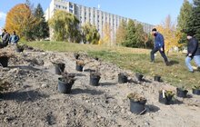 Фото 1: У Львові біля лікарні швидкої медичної допомоги висадили «Сад Здоров’я»