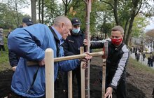 Фото 12: У Львові висадили 96 іменних дерев, присвячених загиблим Героям