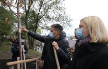 Фото 17: У Львові висадили 96 іменних дерев, присвячених загиблим Героям