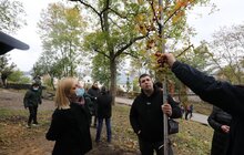 Фото 32: У Львові висадили 96 іменних дерев, присвячених загиблим Героям