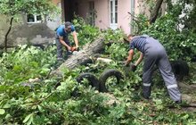 Фото 8: Комунальні служби продовжують прибирати місто від наслідків негоди