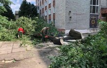 Фото 9: Комунальні служби продовжують прибирати місто від наслідків негоди