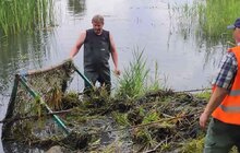 Фото 3: 15 кубічних метрів водних рослин та намулу: у парку «Знесіння» чистять ставок