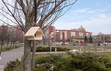 Фото 5: У міських парках та скверах для птахів встановлюють годівнички нового формату
