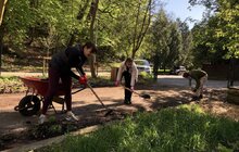 Фото 3: Понад 2 тисячі людей взяли участь у щорічній міській толоці