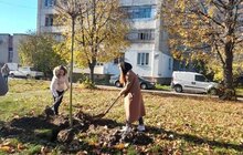 Фото 1: Цієї осені на території Сихівського району посадили 45 дерев та 94 кущі