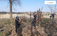 Фото 4: На кладовищах Львівської громади проводять масштабне прибирання