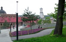Фото 24: Львів розквітне рекордно: 165 тисяч тюльпанів і понад 5 тисяч дерев та кущів — місто готує найяскравішу весну за останні роки