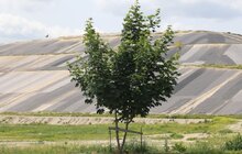 Фото 8: Грибовицький полігон вкривають ґрунтом: до кінця року тут можна буде зіграти в гольф (відео)