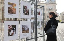 Фото 18: Рік від створення 125-ї бригади територіальної оборони: у Львові відбулись тематичні заходи