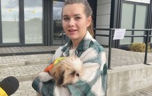 Фото 6: Майже 30 домашніх тварин провакцинували від сказу у Лисиничах
