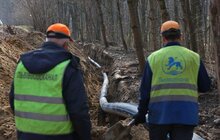 Фото 6: Реконструкція каналізації у Брюховичах: 300 метрів нових труб замість аварійних