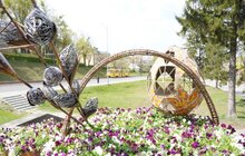Фото 5: У Львові висаджують квіткові композиції