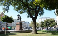 Фото 2: У Львові продовжують чіпувати дерева з допомогою геоінформаційної системи управління зеленими насадженнями Inspectree
