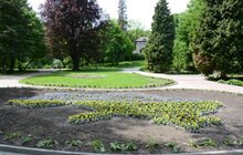 Фото 2: У Стрийському парку з’явилась клумба на воді
