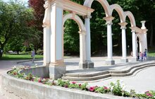 Фото 8: У Стрийському парку з’явилась клумба на воді