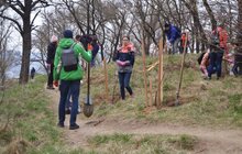 Фото 6: У Львові відновлювали Черешневий гай Климентія Шептицького