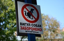 Фото 11: Ремонт внутрішніх двориків, прибудинкових територій, облаштування громадських просторів