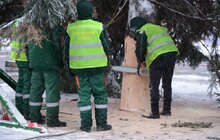 Фото 4: На площі перед Оперним театром встановили головну ялинку міста