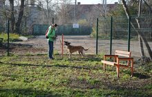 Фото 14: ЛКП «Лев» облаштувало тренувально-вигульний майданчик на вул. Промисловій