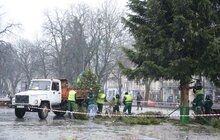 Фото 5: Головну ялинку міста демонтовують та відправлять на утилізацію