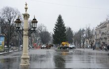 Фото 6: Головну ялинку міста демонтовують та відправлять на утилізацію