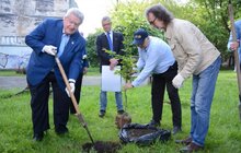 Фото 2: У Замарстинівському сквері висадили перше символічне дерево, ознаменувавши старт його реконструкції