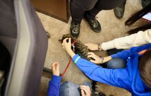 Фото 3: У Львові нагородили 230 учнів-волонтерів, що допомагали ЗСУ і переселенцям