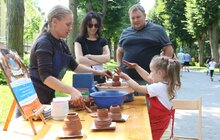 Фото 13: У Стрийському парку тривають Родинні пікніки Незалежності