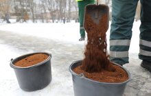 Фото 3: У парку Львова вперше використали кавову гущу для боротьби з ожеледицею