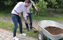 Фото 1: З нагоди свого 90-ліття в Україні Ротарі-клуб заснував іменну алею у Шевченківському гаю