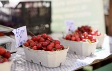 Фото 6: На площі Ринок діє Фермерський ярмарок
