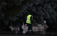 Фото 3: Цього року новорічна ялинка у Львові буде особливою