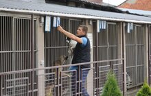 Фото 13: ЛКП «Лев» прилаштувало за 3 роки 2 тис тварин