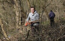 Фото 9: Сьогодні Львів прибирають в рамках акції «З нами місто розквітає»