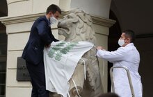 Фото 9: Медичні працівники одягнули левів перед мерією Львова у вишиванки