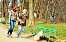 Фото 8: Сьогодні Львів прибирають - акція 