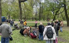 Фото 6: У Львові висадили вже четвертий дощовий садок: тепер така локація є у парку Івана Франка (відео)