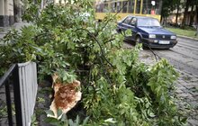 Фото 17: Аварійні бригади оперативно ліквідовують наслідки негоди в місті