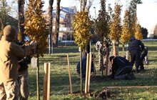 Фото 7: У Левандівському парку висадили 30 дерев пам’яті захисників (відео)