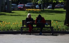 Фото 8: Тюльпани у Львові цвістимуть щороку, - почесний консул України в Нідерландах (відео)