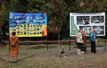 Фото 3: У Дублянах висадили алею з сакур у пам’ять про полеглих Героїв