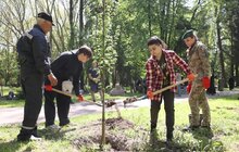 Фото 4: У Стрийському парку висадили 35 дерев у пам’ять про прикордонників, які віддали своє життя боротьбі за незалежність України