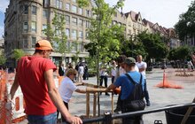 Фото 8: На площі Галицькій висадили нові дерева